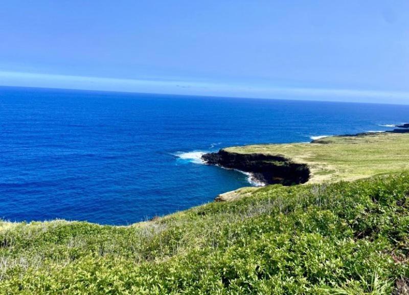 Charming 1 Bedroom Beach Condo Prime Location Great Value Pahala Eksteriør billede