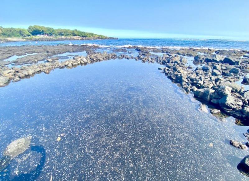 Charming 1 Bedroom Beach Condo Prime Location Great Value Pahala Eksteriør billede
