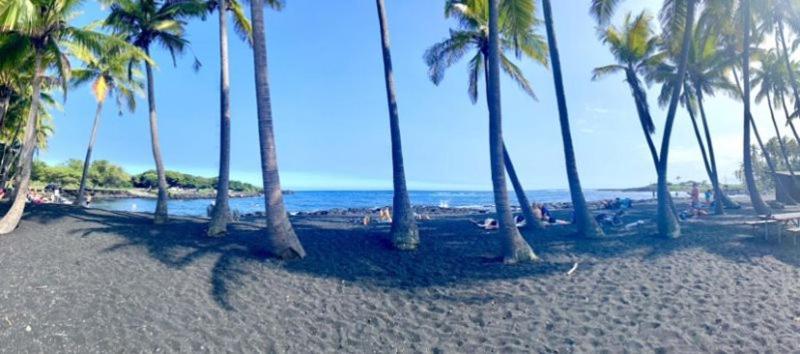 Charming 1 Bedroom Beach Condo Prime Location Great Value Pahala Eksteriør billede