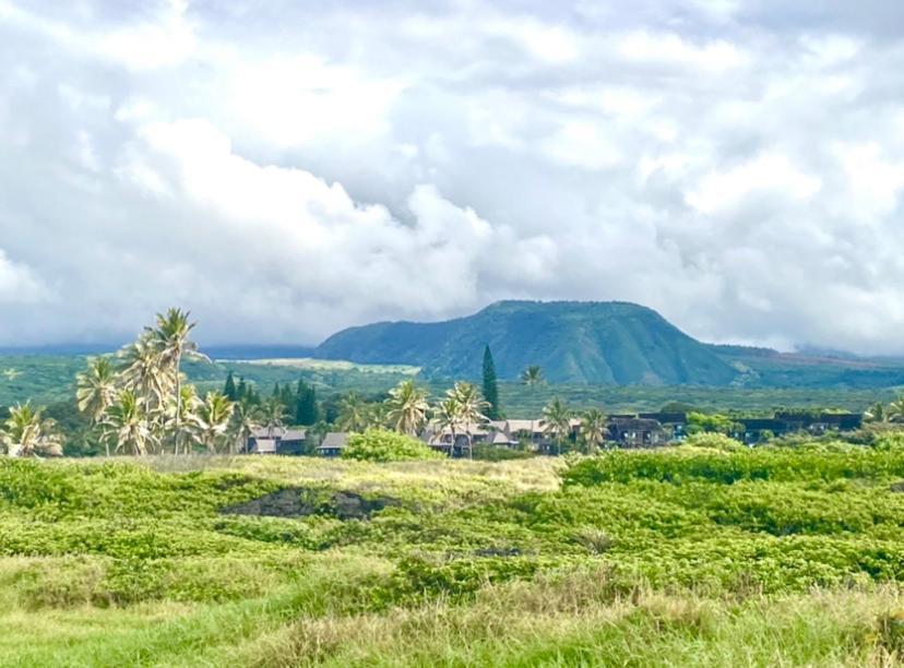 Charming 1 Bedroom Beach Condo Prime Location Great Value Pahala Eksteriør billede